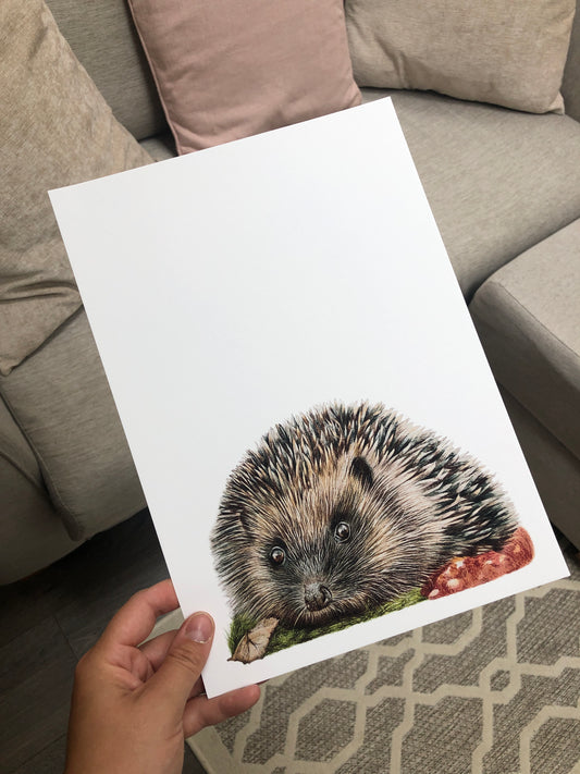 hedgehog fine art print