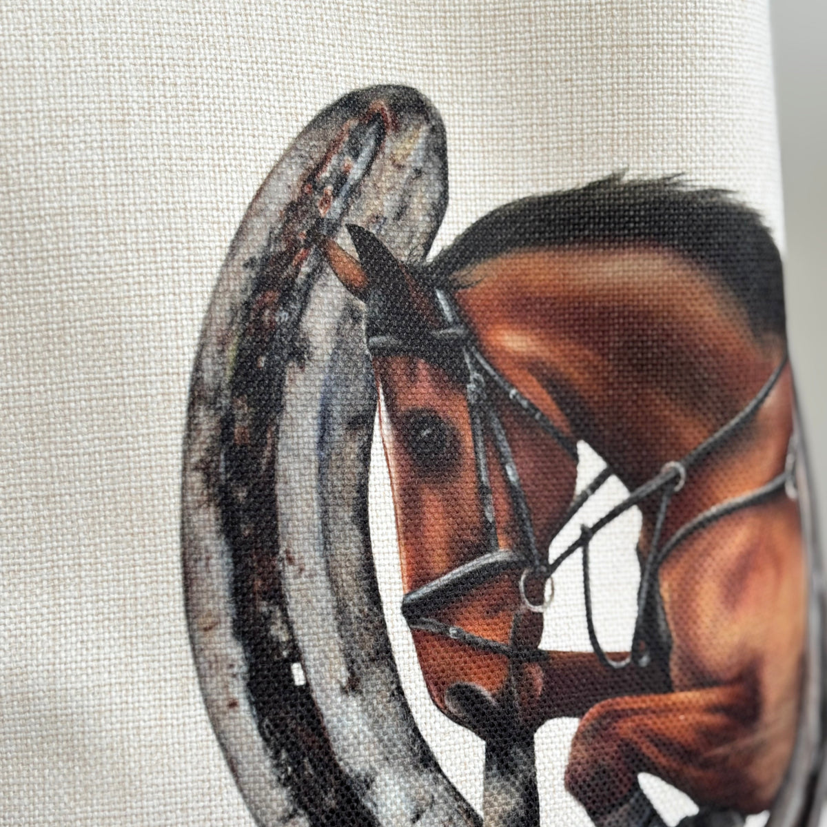 Close up detail of a showjumping horse and horseshoe