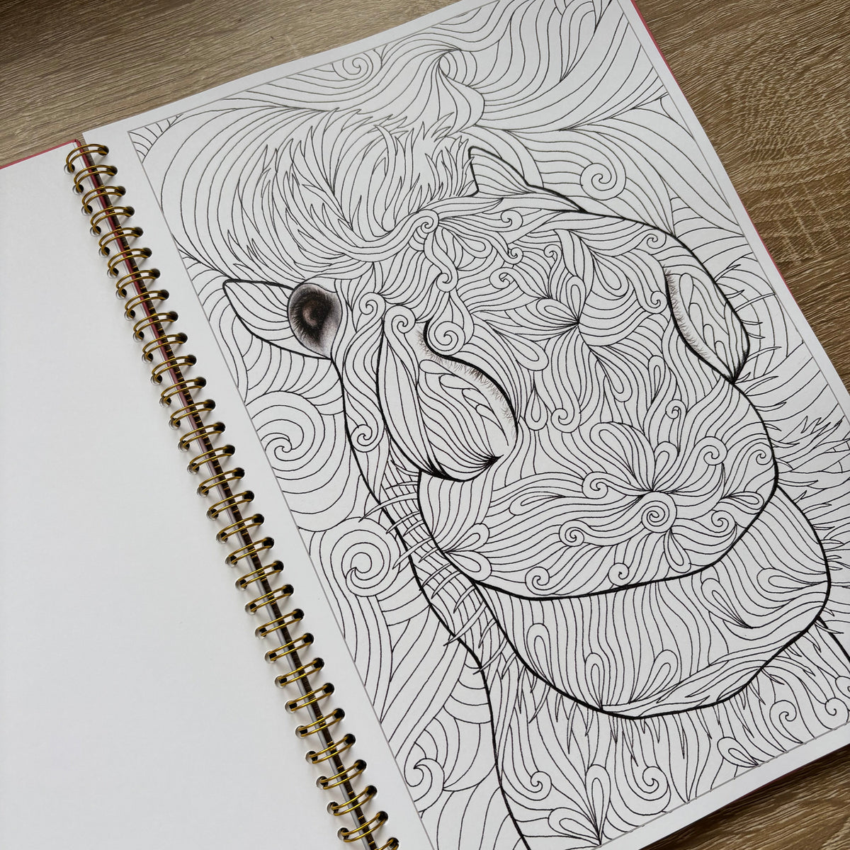 Horse colouring book hand drawn