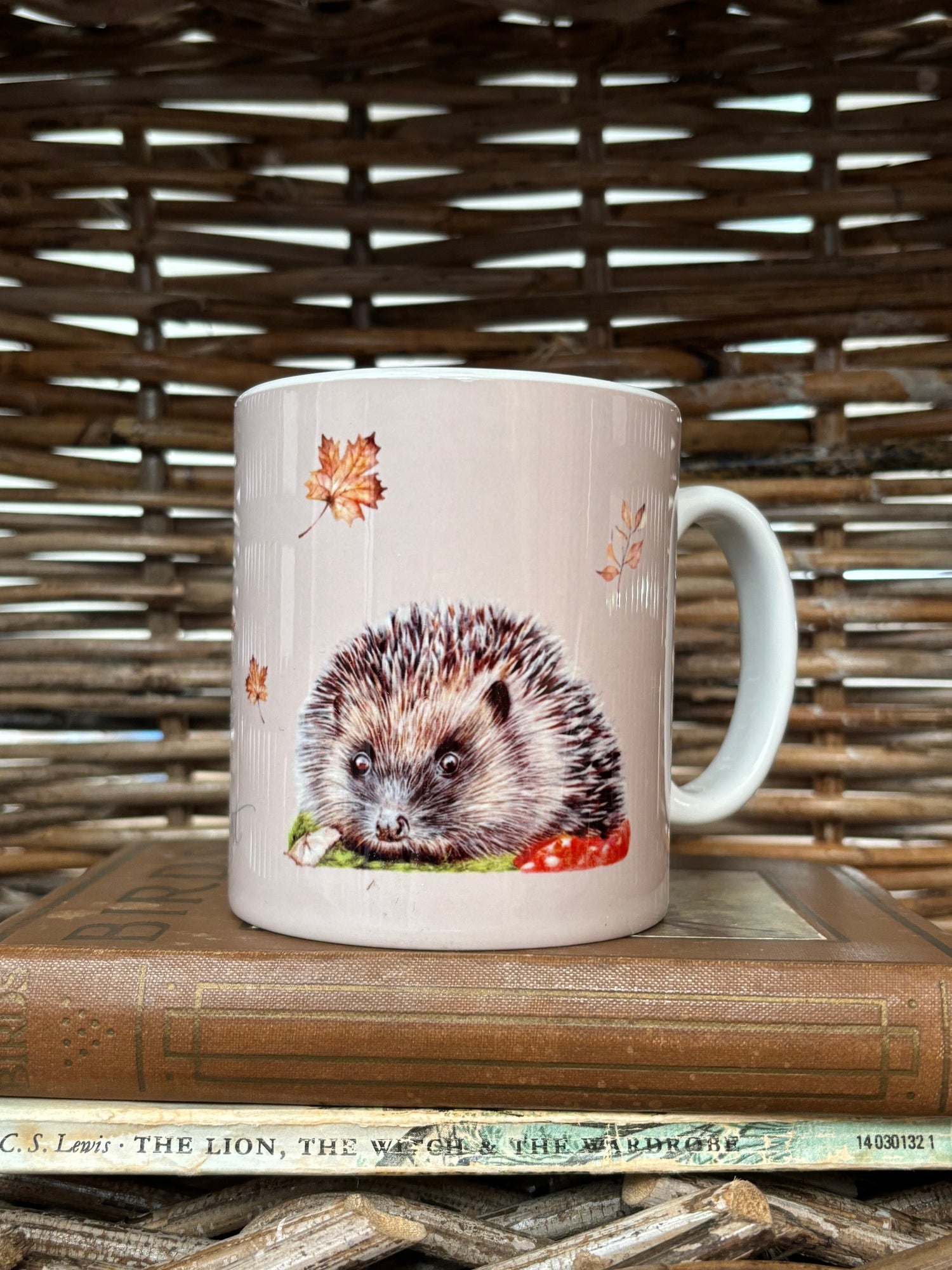 Hedgehog Mug