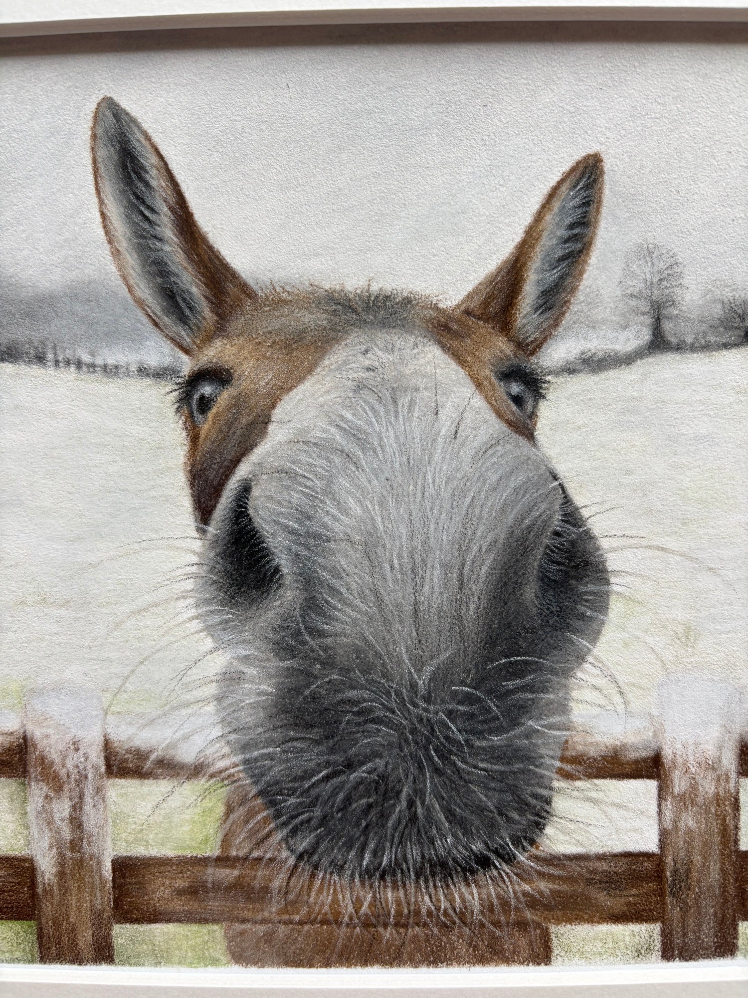 Nosy Donkey Original Art