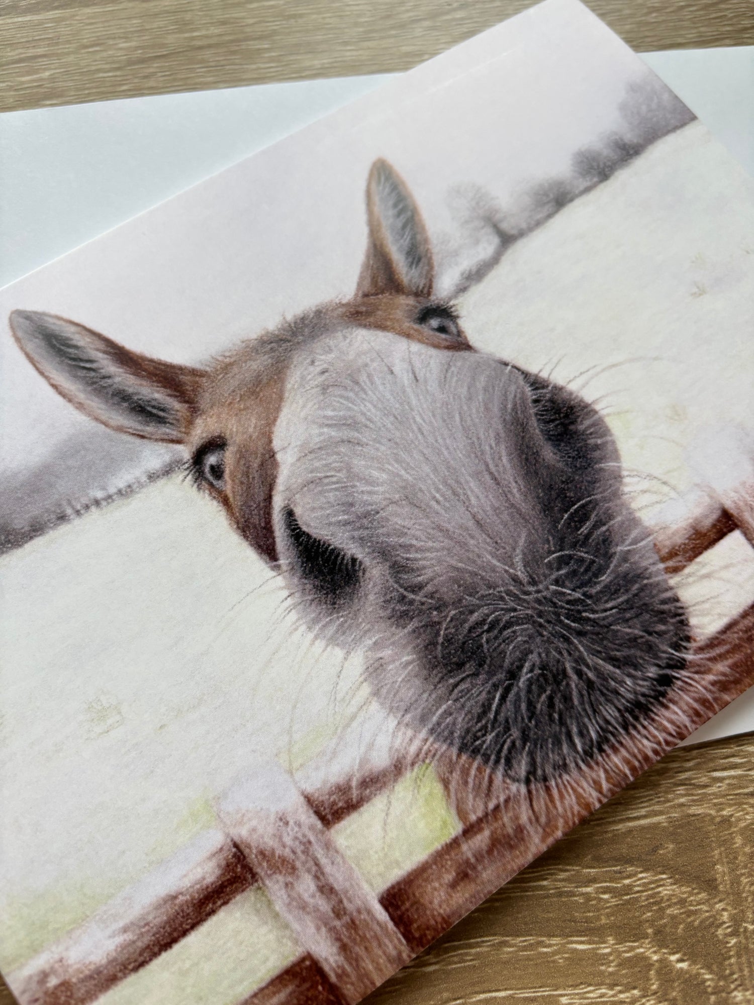 Nosy Donkey Christmas Card