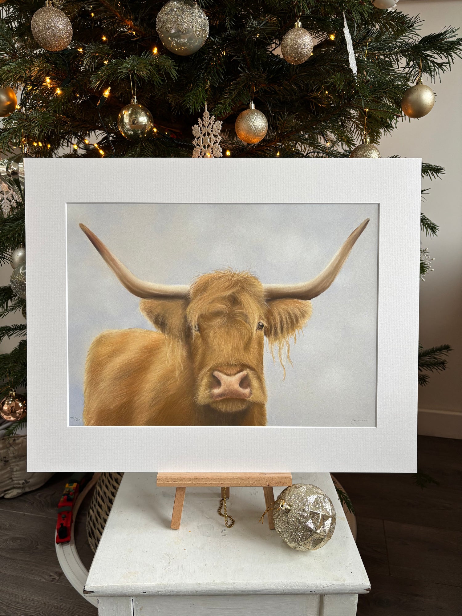 Highland Cow Mounted Print