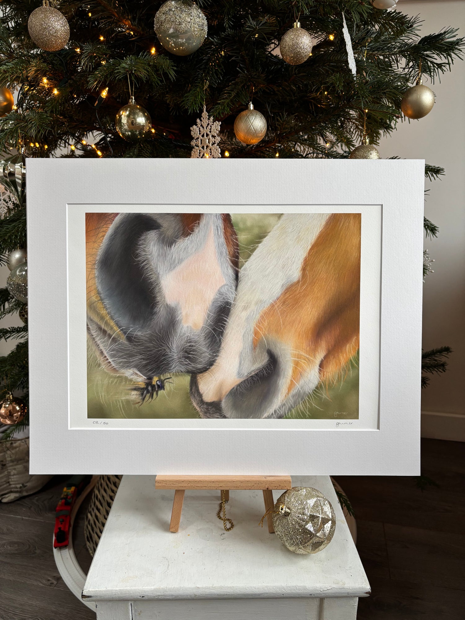 Horse Noses A3 Mounted Print