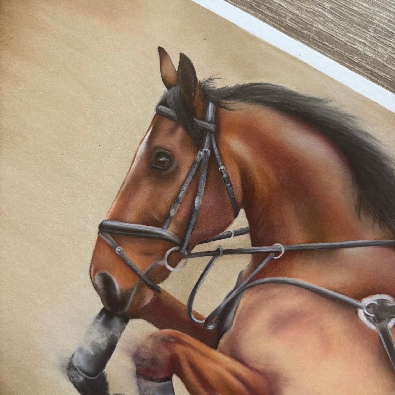 Showjumping Fine Art Print On Paper