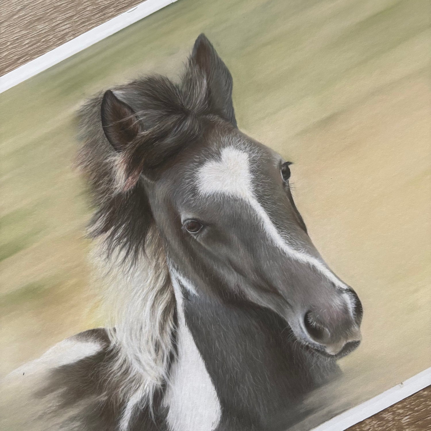 Galloping Foal Print