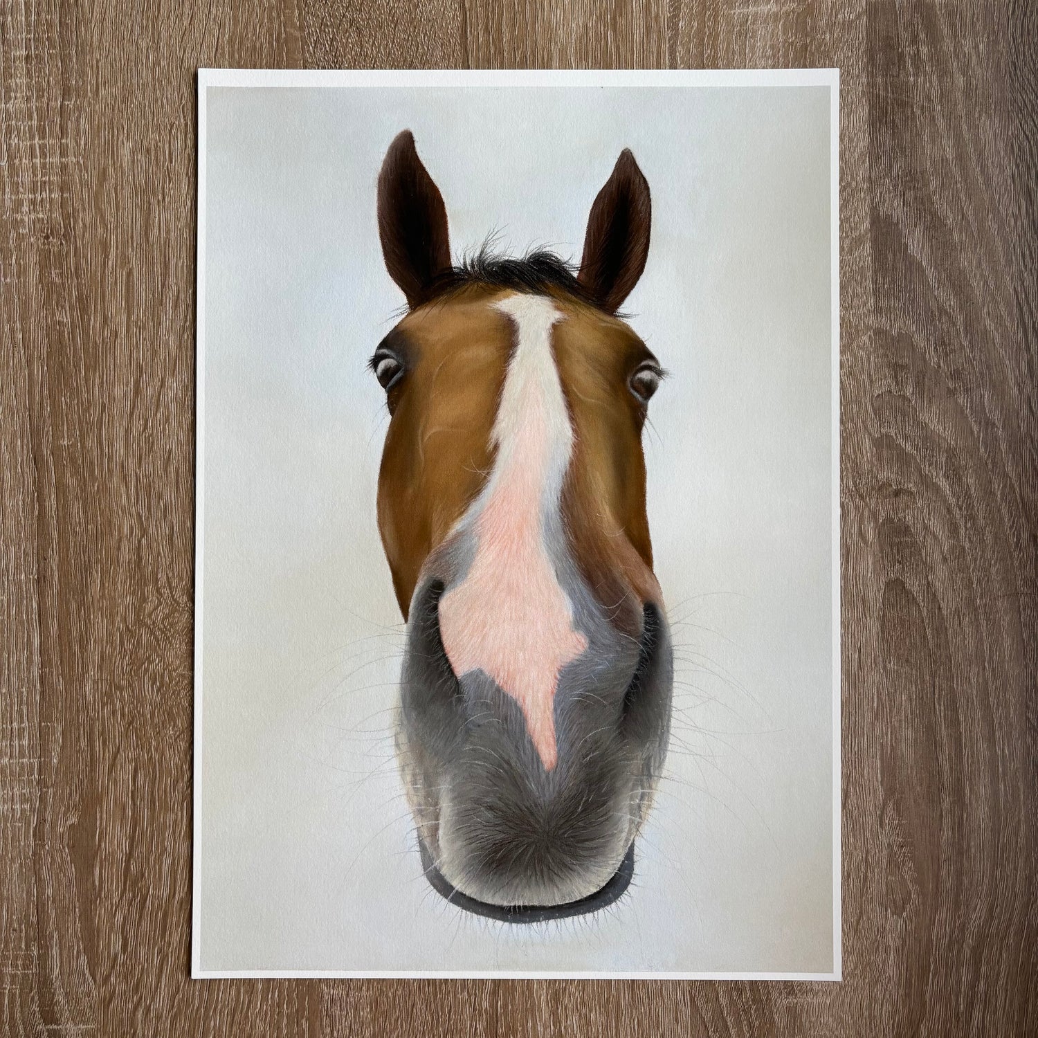 Nosy Pony Print - Faugheen