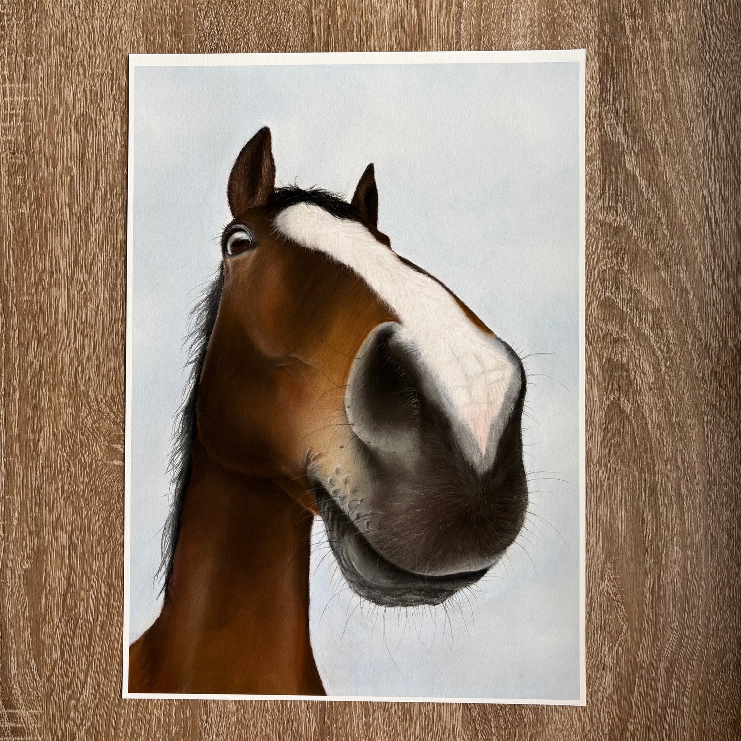 Illustration of a horse's face on a wooden surface