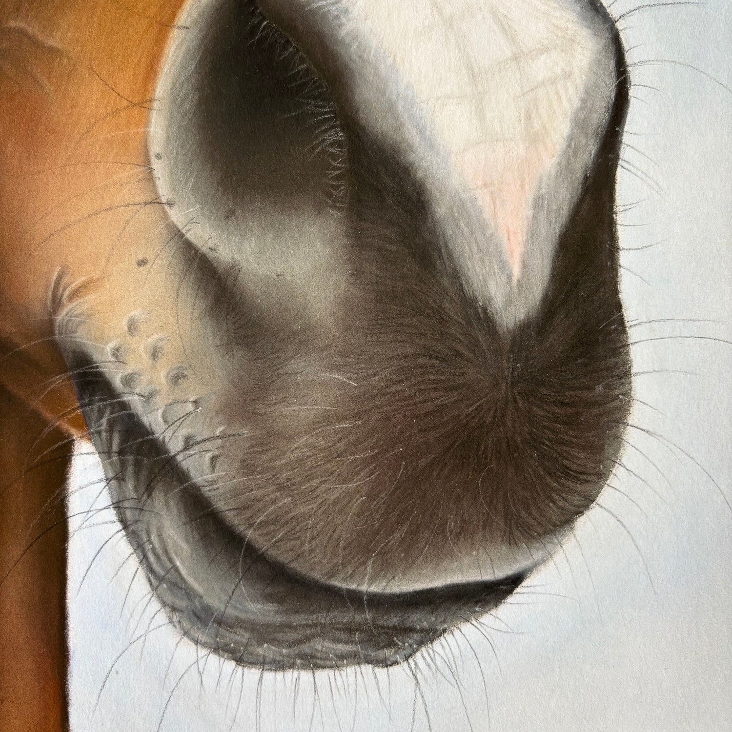 Nosy Pony Print - Kauto Star