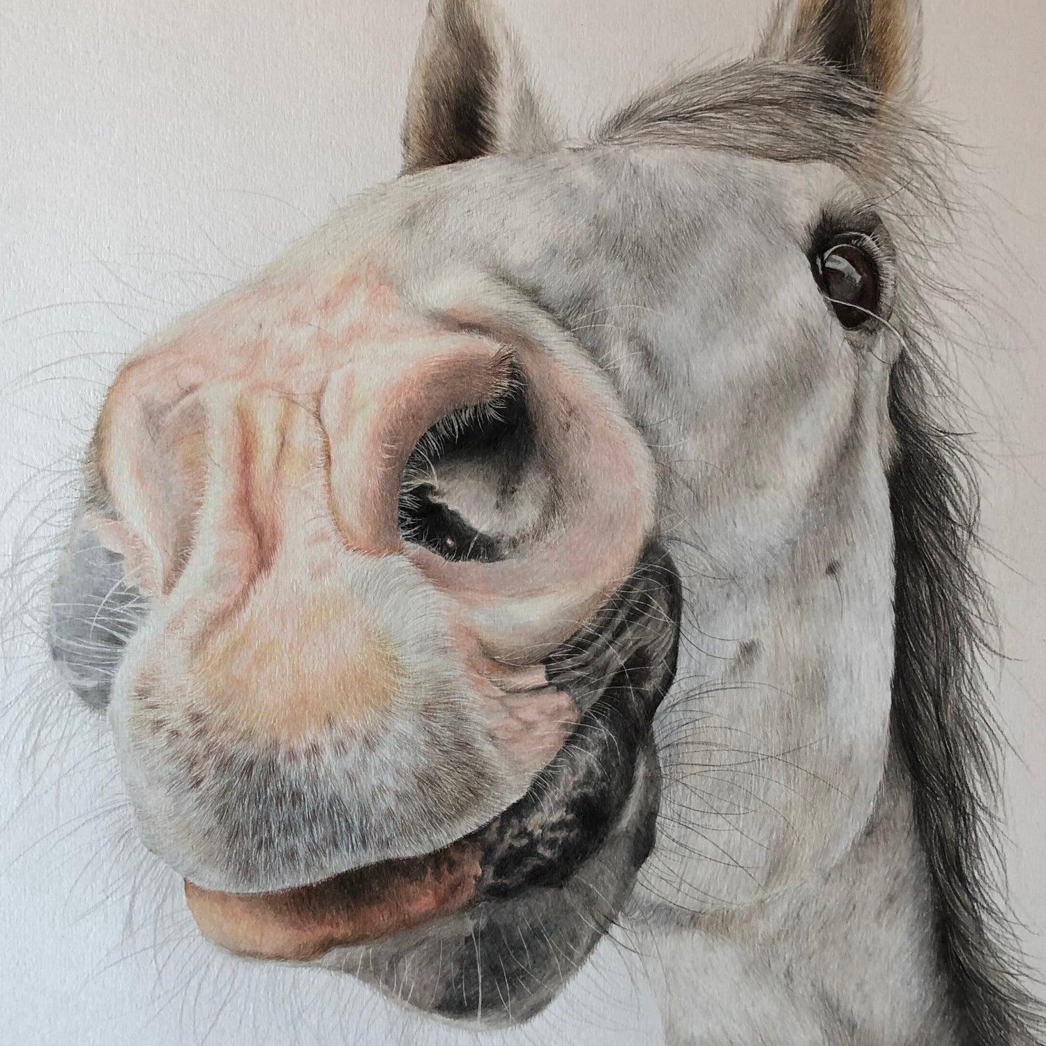 Nosy Pony Original Painting