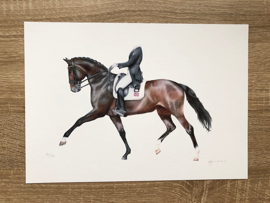 Equestrian - Horse and Rider Print 