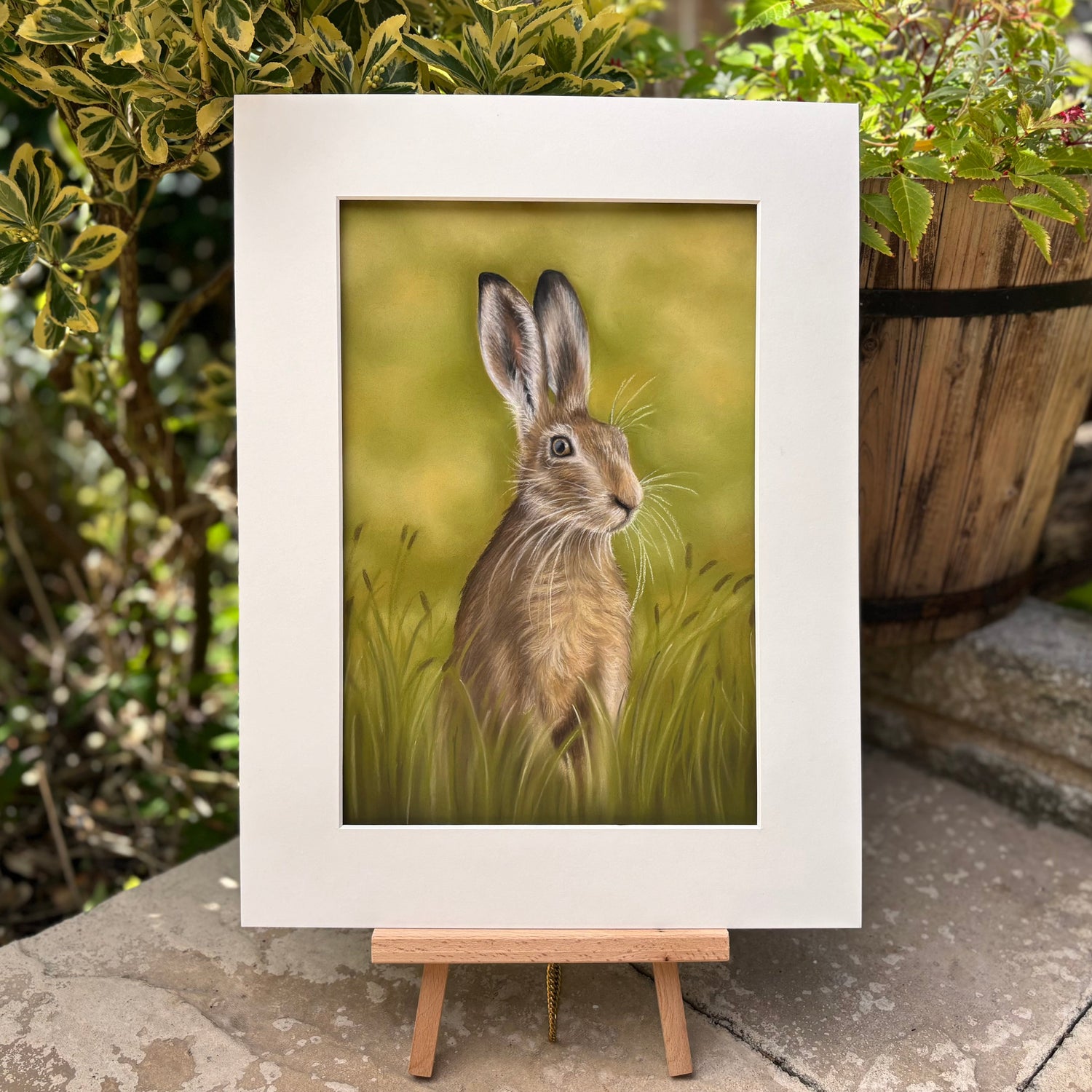 Hare In The Grass - Original Artwork
