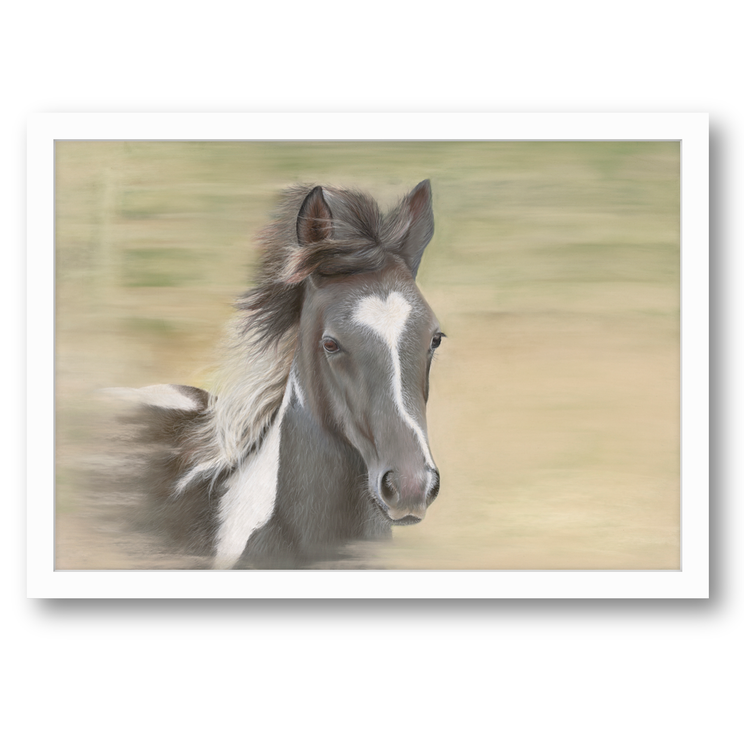 Foal Original Equestrian Artwork