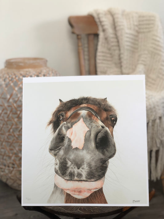 Nosy Pony Limited Edition Print