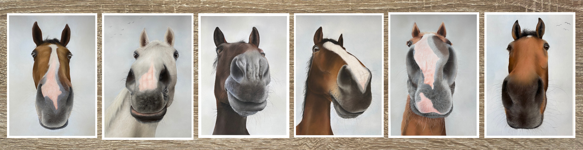 Set of six horse portraits on a wooden background