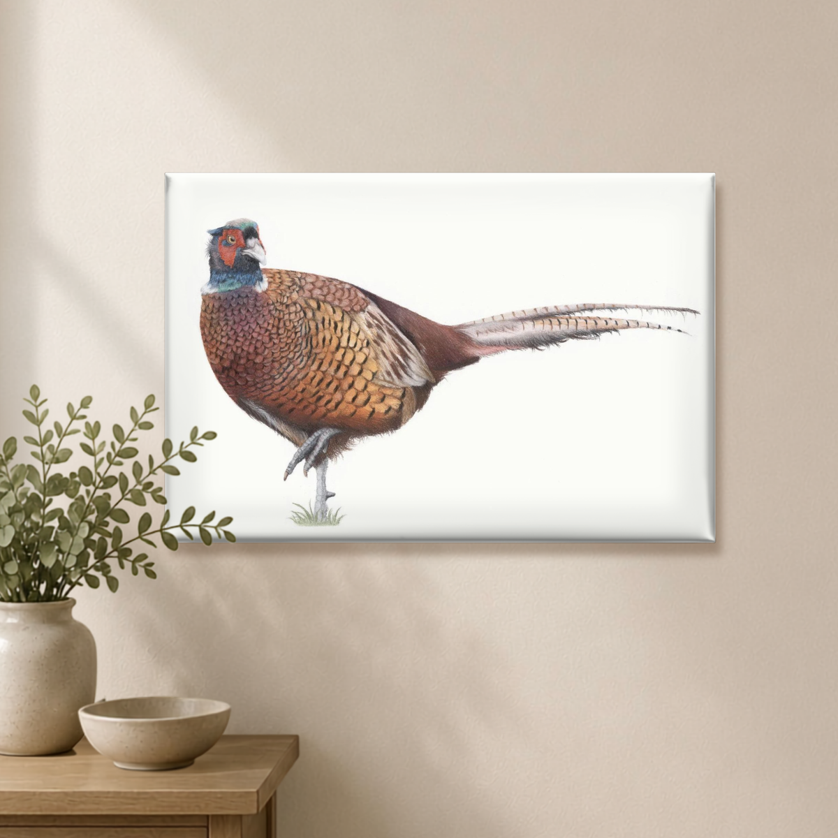 Pheasant Canvas Print