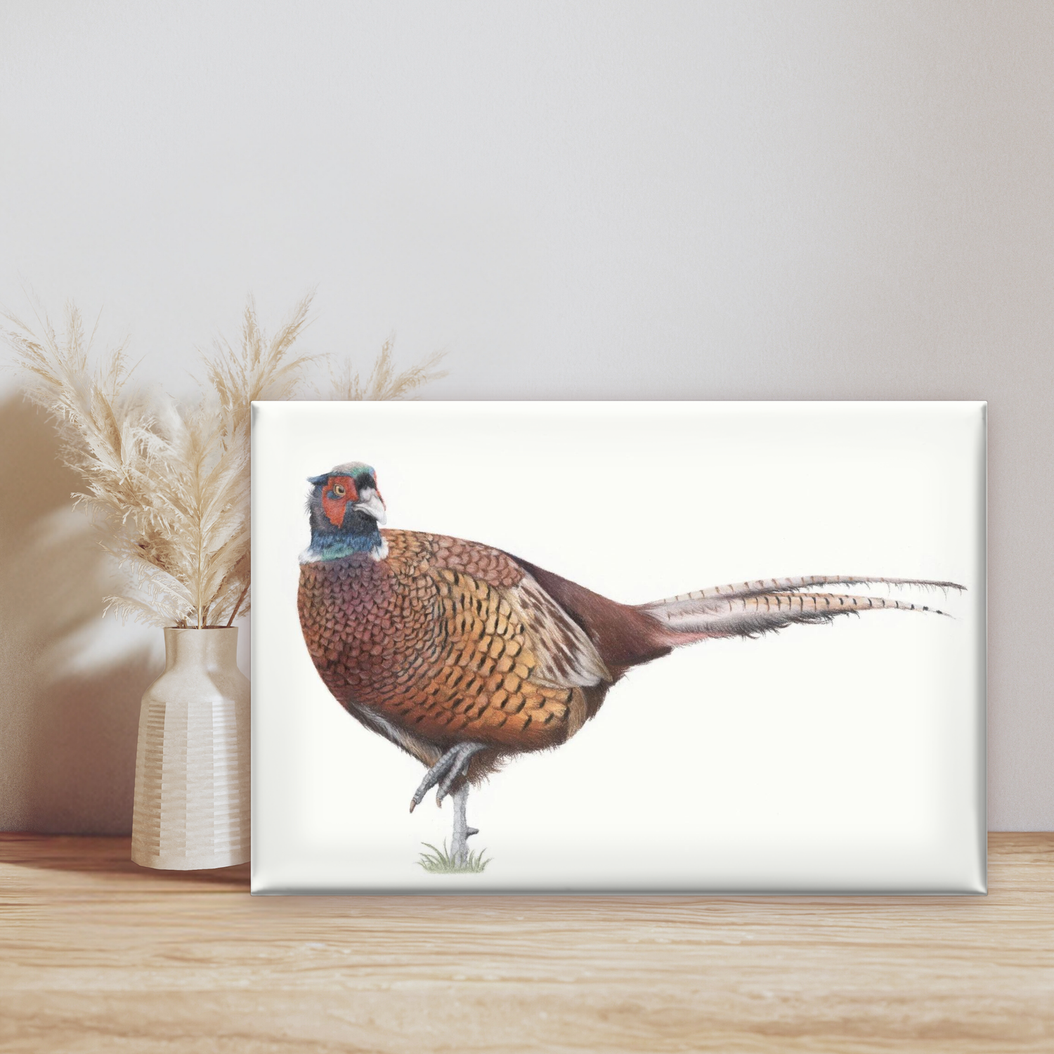 Pheasant Canvas Print