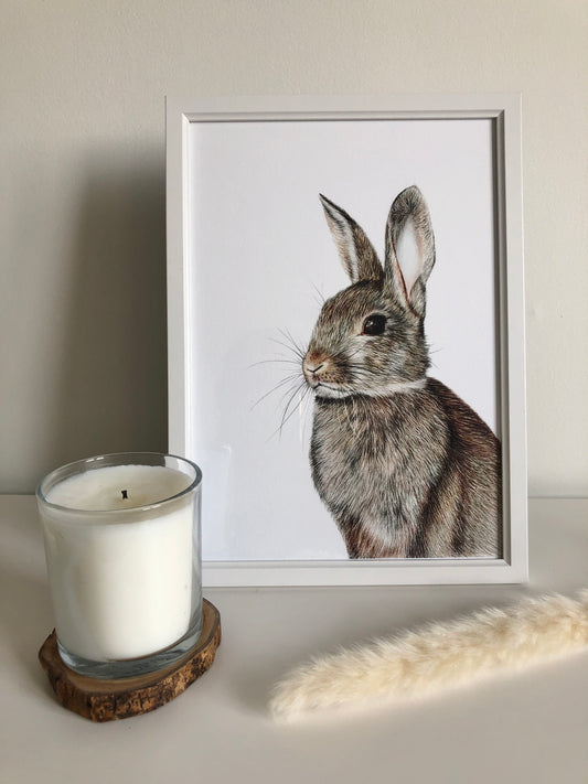 Beatrix Potter inspired Rabbit Print 