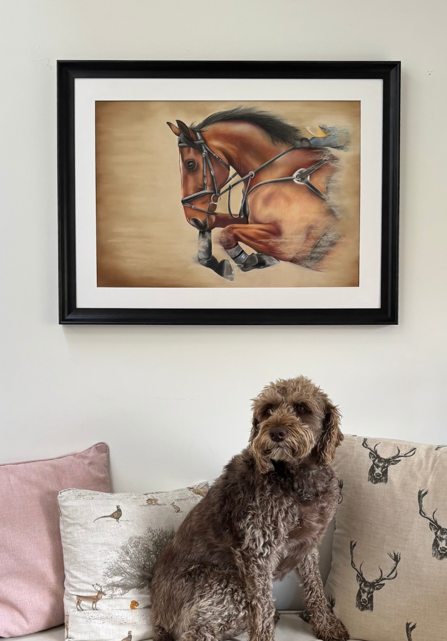 Showjumping Original Equestrian Artwork - 'Flying Forward'