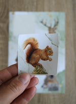 Close-up of removable Woodland Animal Sticker showing a red squirrel illustration, part of a wildlife-themed stationery set by Georgie Turner.