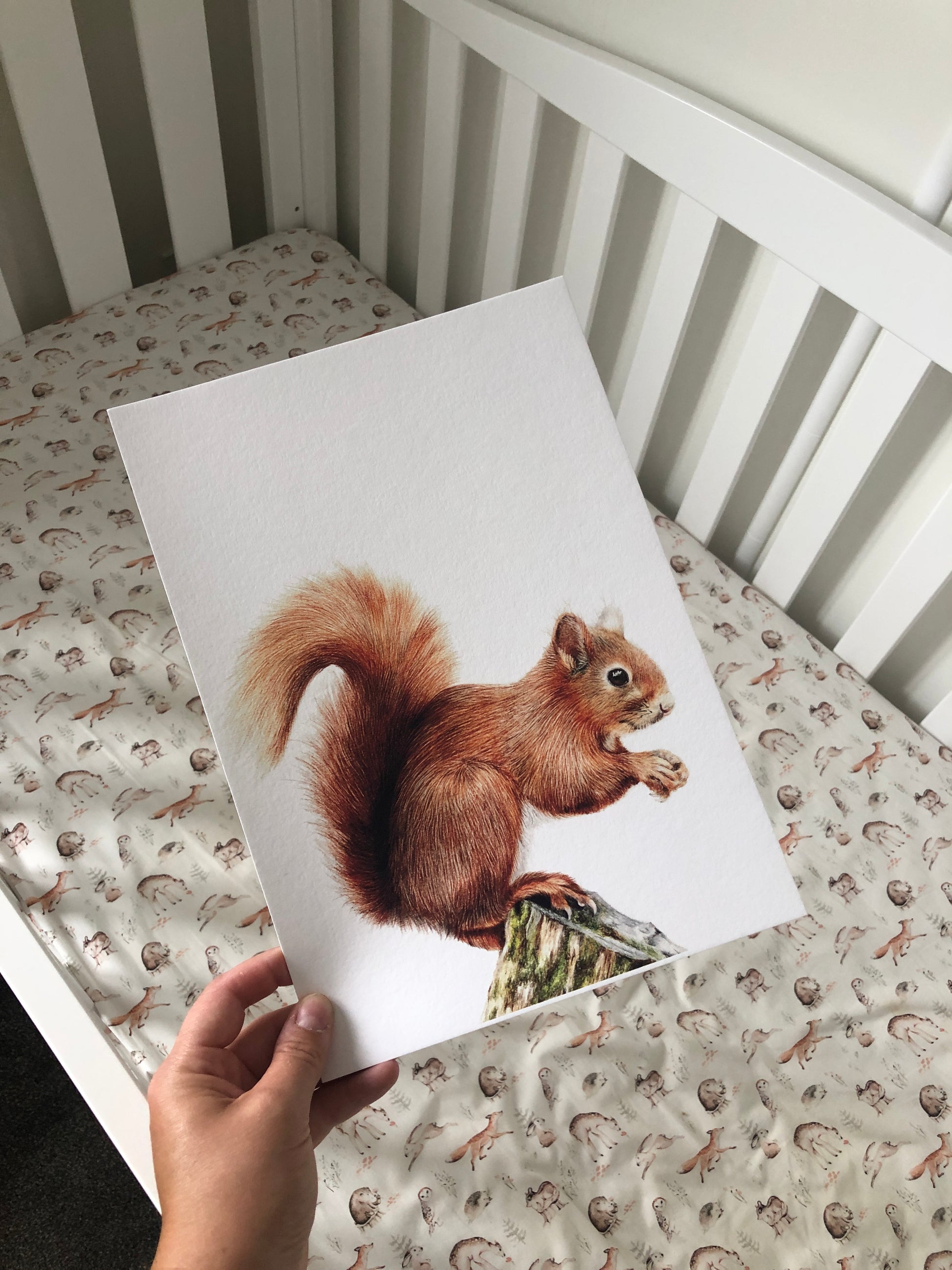 Squirrel print