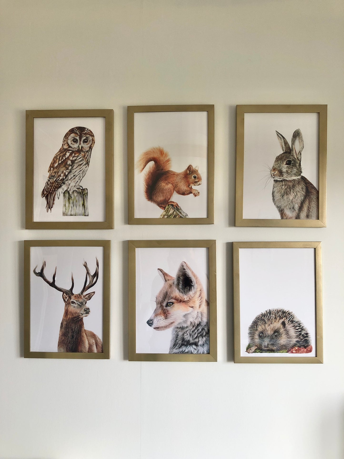 Close up of six wildlife prints