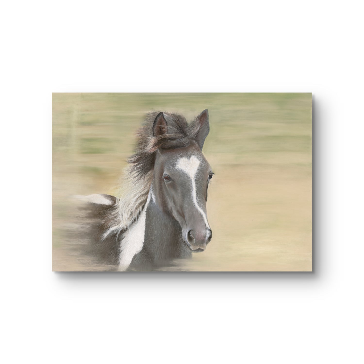 'Flying Free' Gallery Edition Fine Art Print