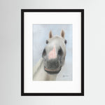 Framed Nosy Pony© Desert Orchid Print