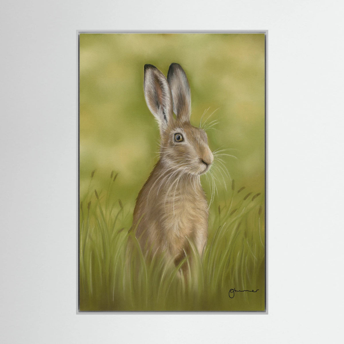 Hare Canvas Print