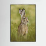 Hare Canvas Print