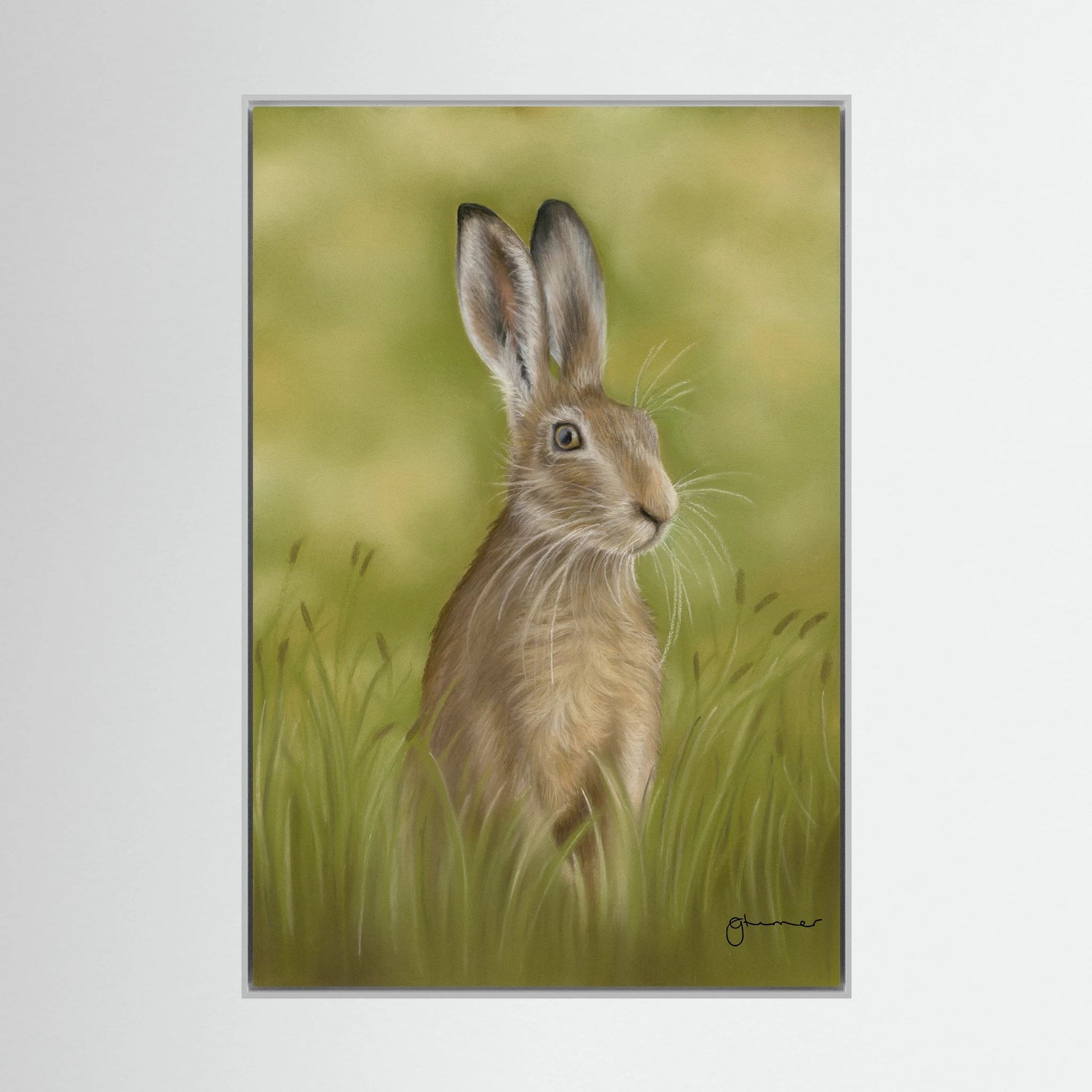 Hare Canvas Print