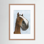 Framed Nosy Pony© Kauto Star Print