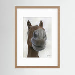 Framed Nosy Pony© Sprinter Sacre Print