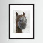 Framed Nosy Pony© Sprinter Sacre Print