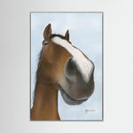 Nosy Pony© 'Kauto Star' Canvas Print