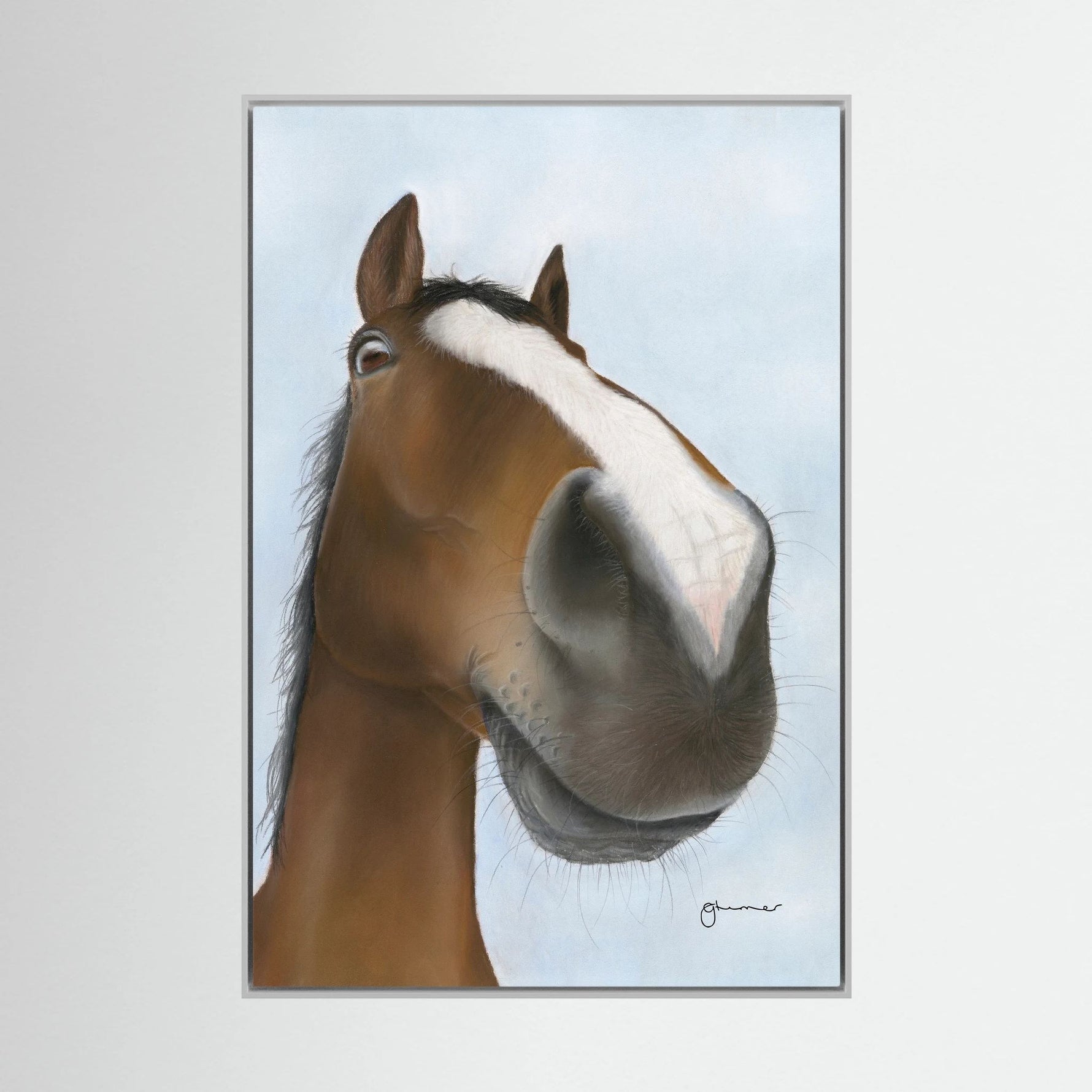 Nosy Pony© 'Kauto Star' Canvas Print