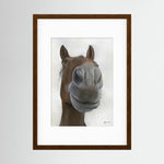 Framed Nosy Pony© Sprinter Sacre Print