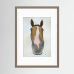 Framed Nosy Pony© Faugheen Print