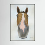 Nosy Pony© 'Faugheen' Canvas Print