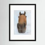 Framed Nosy Pony© Thistlecrack Print