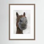 Framed Nosy Pony© Sprinter Sacre Print
