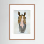 Framed Nosy Pony© Faugheen Print