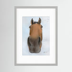 Framed Nosy Pony© Thistlecrack Print
