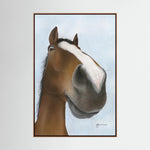 Nosy Pony© 'Kauto Star' Canvas Print