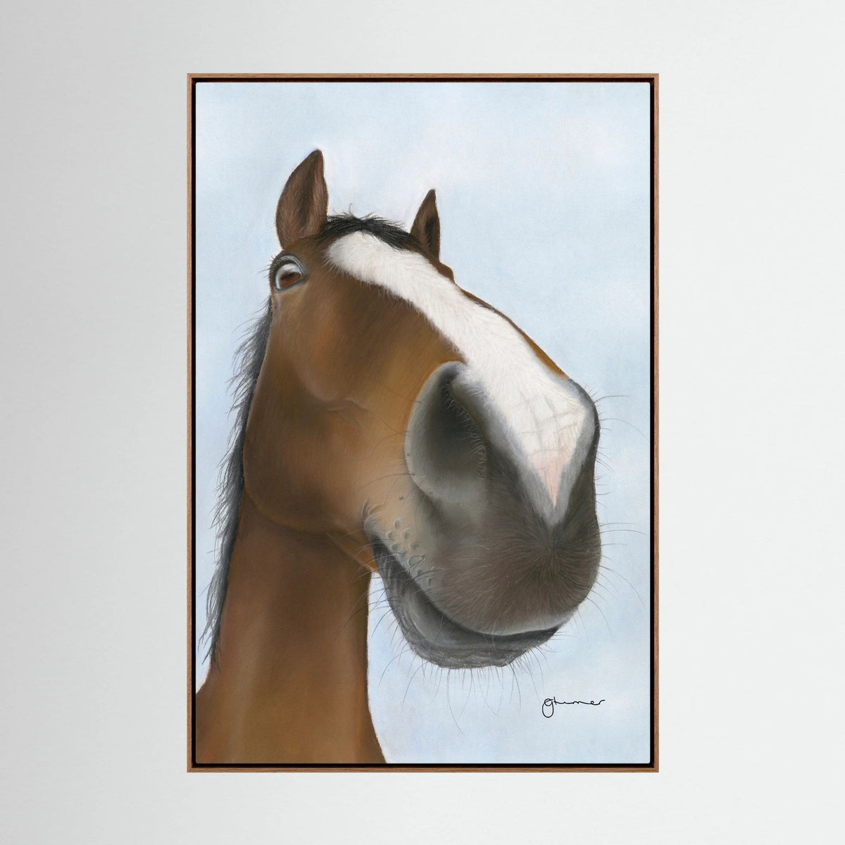 Nosy Pony© 'Kauto Star' Canvas Print