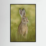 Hare Canvas Print