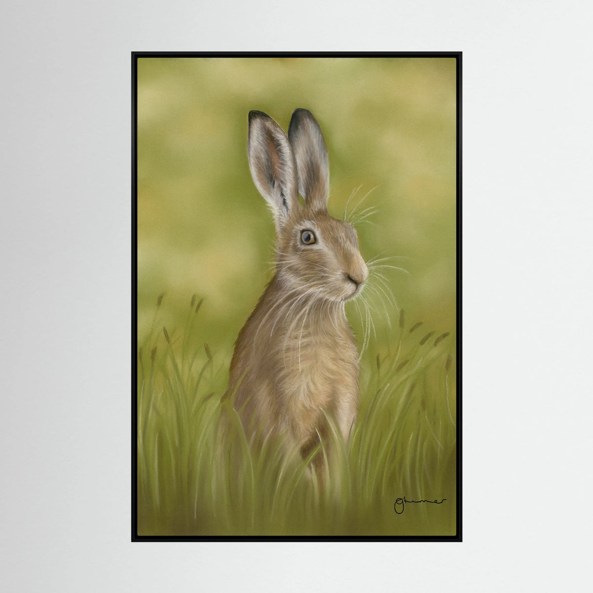 Hare Canvas Print