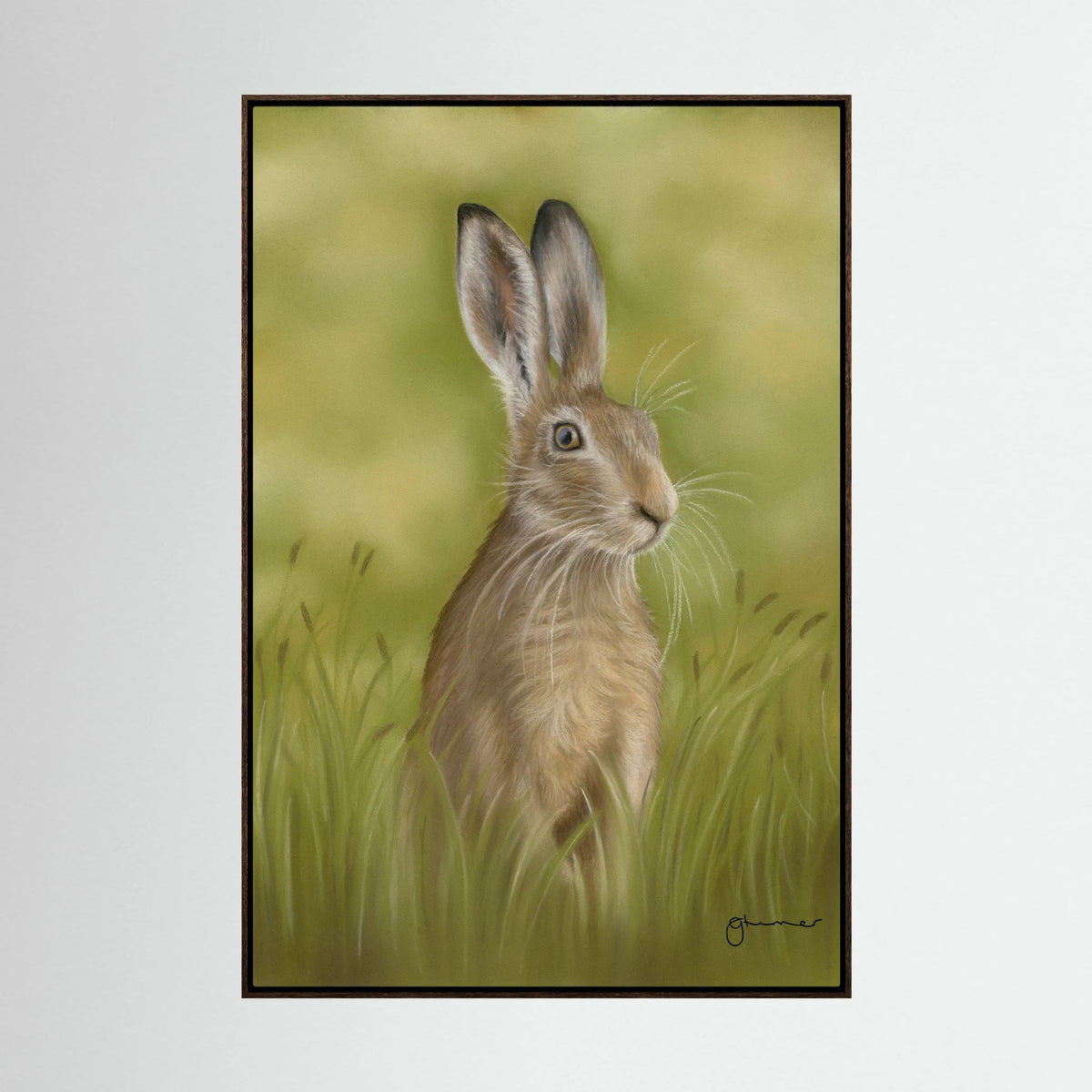 Hare Canvas Print