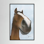 Nosy Pony© 'Kauto Star' Canvas Print