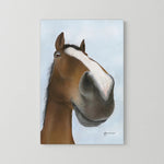 Nosy Pony© 'Kauto Star' Canvas Print